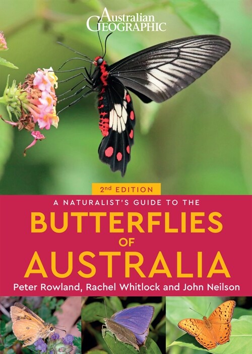 A Naturalist's Guide to the Butterflies of Australia (2nd) (Paperback, 2)