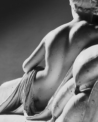 Canova: In Four Tempos