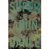 Superabundance: The Story of Population Growth, Innovation, and Human Flourishing on an Infinitely Bountiful Planet (Paperback)